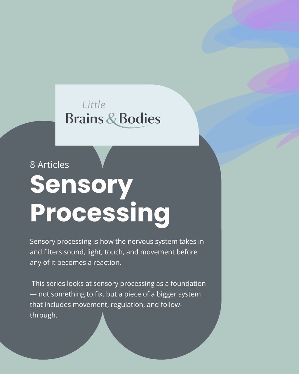Sensory Processing - Five Domains Deep Dive