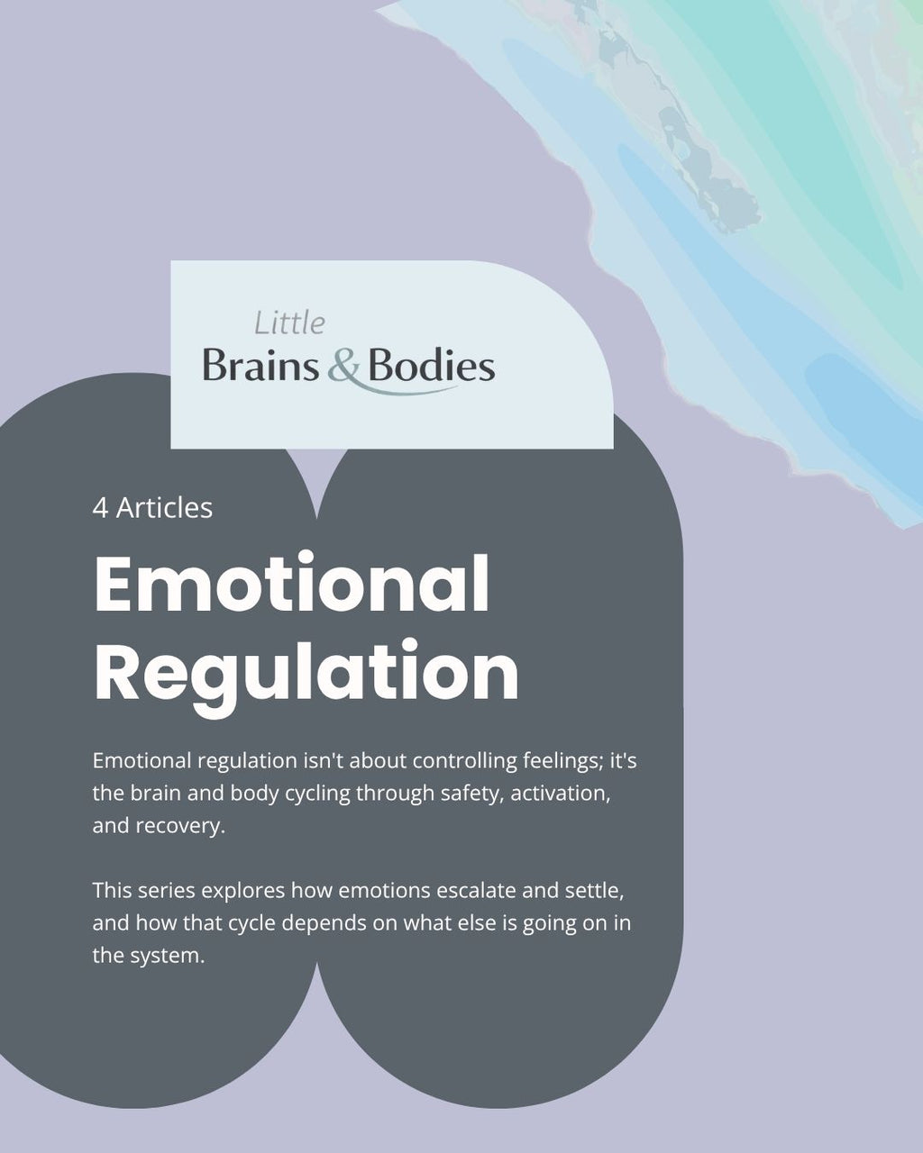 Emotional Regulation - Five Domains Deep Dive
